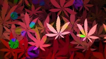 trippant psychédélique cannabis feuille Contexte animation. plein HD et boucle mouvement Contexte. video