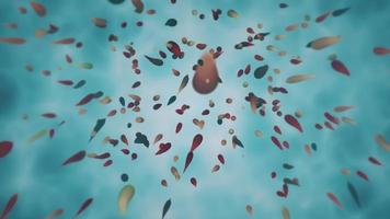 een ondiepte van kleurrijk tropisch vis zwemmen in een turkoois oceaan. deze onderwater, marinier beweging achtergrond animatie is vol hd en een lus maken. video