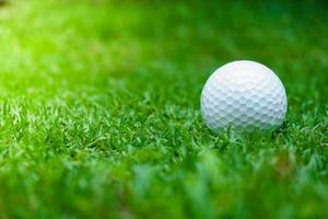 hierba verde con primer plano de pelota de golf en enfoque suave a la luz del sol. parque deportivo para el concepto de club de golf foto