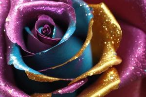 metallic colorful gold rose photo