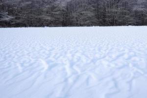 snow in winter background photo