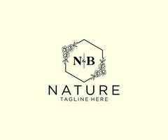 initial NB letters Botanical feminine logo template floral, editable premade monoline logo suitable, Luxury feminine wedding branding, corporate. vector