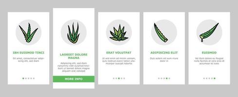 aloe vera nature green care onboarding icons set vector