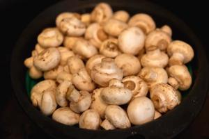 Mushrooms and mushrooms washed lie in a colander. photo