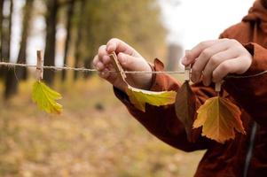 un niño cuelga otoño hojas en un cuerda y pinzas para la ropa foto