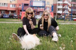 Two funny girls are eating ice cream and playing with a Pomeranian dog. Holidays photo