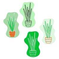 Cactus in a flat style. Collection, Line art, Icon. vector