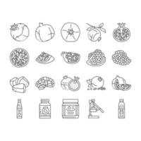 pomegranate fruit red food icons set vector