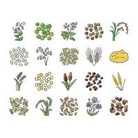 cereal plant healthy food icons set vector