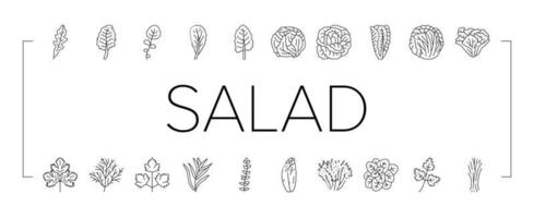 salad food healthy green fresh icons set vector