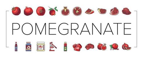 pomegranate fruit red food icons set vector