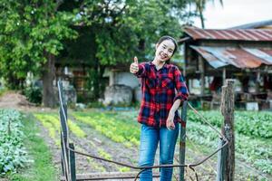 Portrait young Female Agricultural thumb up in organic vegetable farm photo