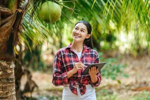 Portrait of Happy Asian young  farmer woman check quality of coconut in farm and using tablet computer to take orders online for customers. Agricultural and technology concepts. photo