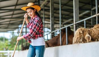 retrato de una joven granjera asiática feliz barriendo el suelo en una granja de vacas. concepto de industria agrícola, agricultura, personas, tecnología y cría de animales. foto