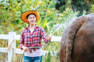 Portrait of Happy young Asian farmer woman wearing hat working to clean cow in farm. Agriculture industry, farming, people, technology and animal husbandry concept. photo