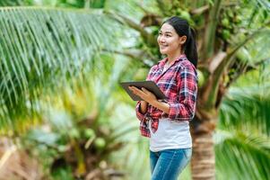 Portrait of Happy Asian young  farmer woman check quality of coconut in farm and using tablet computer to take orders online for customers. Agricultural and technology concepts. photo