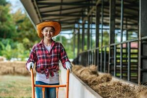 retrato de una feliz granjera asiática alimentando vacas en un establo en una granja lechera. concepto de industria agrícola, agricultura, personas, tecnología y cría de animales. foto