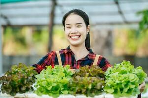 Portrait of Happy Young Asian girl farmer looking at camera with fresh green oak lettuce salad, organic hydroponic vegetable in nursery farm. Business and organic hydroponic vegetable concept. photo