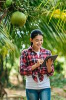 Portrait of Happy Asian young  farmer woman check quality of coconut in farm and using tablet computer to take orders online for customers. Agricultural and technology concepts. photo