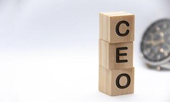 CEO text representing Chief Executive Officer engraved on wooden blocks with customizable space for text. Copy space and Senior Management concept photo