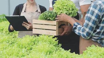 senior vuxen par plockning vegetabiliska från bakgård trädgård video