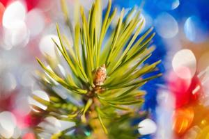 Close-up of Xmas pine tree branch with needles. Christmas ornament decorations for celebration Happy New Year photo