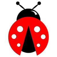 beetle icon illustration vector