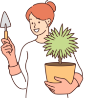 Woman caring for house plant in pot holds shovel to replace earth or transplant flower png