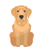 dibujos animados perro. mascota caracteres ilustración png