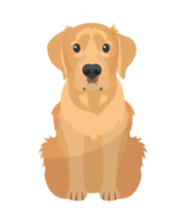 cartone animato cane. animale domestico personaggi illustrazione png