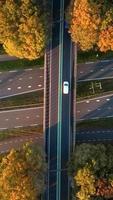 antenn se av parallell motorväg vägar i en gräs- landskap video