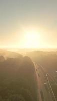 a luz do sol brilha através das árvores em uma estrada pavimentada video