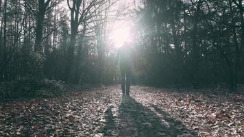 Silhouette von ein Mann Gehen im ein Wald video