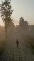 hombre caminando en un bosque en una mañana brumosa video