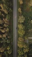 Aerial view of parallel highway roads in a grassy landscape video