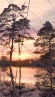 Sun shines down on calm lake reflecting trees and sky video