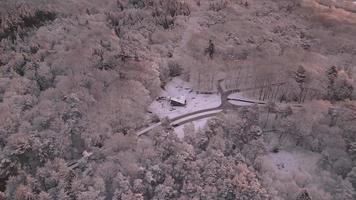 vista aérea del bosque de invierno video