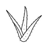planta áloe vera línea icono vector ilustración
