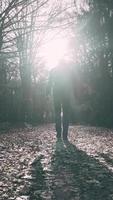 Silhouette von ein Mann Gehen im ein Wald video