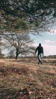 Mann Gehen Nieder ein Pfad im das Wald video