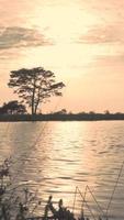 Sun shines down on calm lake reflecting trees and sky video