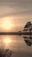 il sole splende sul lago calmo che riflette gli alberi e il cielo video