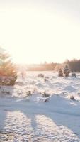nieve cubierto camino en invierno video