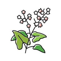 buckwheat plant healthy color icon vector illustration