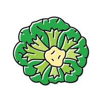 brócoli verde color icono vector ilustración