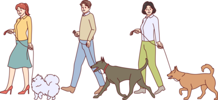 gens en marchant avec chiens sur laisses png