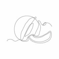 cool melon fruit continuous line art vector