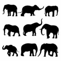 silhouette of elephant Bundle icon black white vector