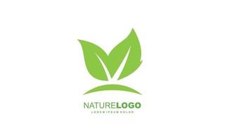 Leaf logo design inspiration. Vector template design for brand.