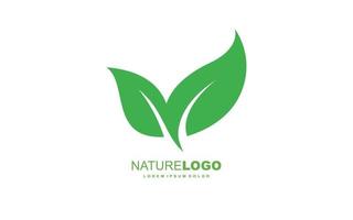 Leaf logo design inspiration. Vector template design for brand.